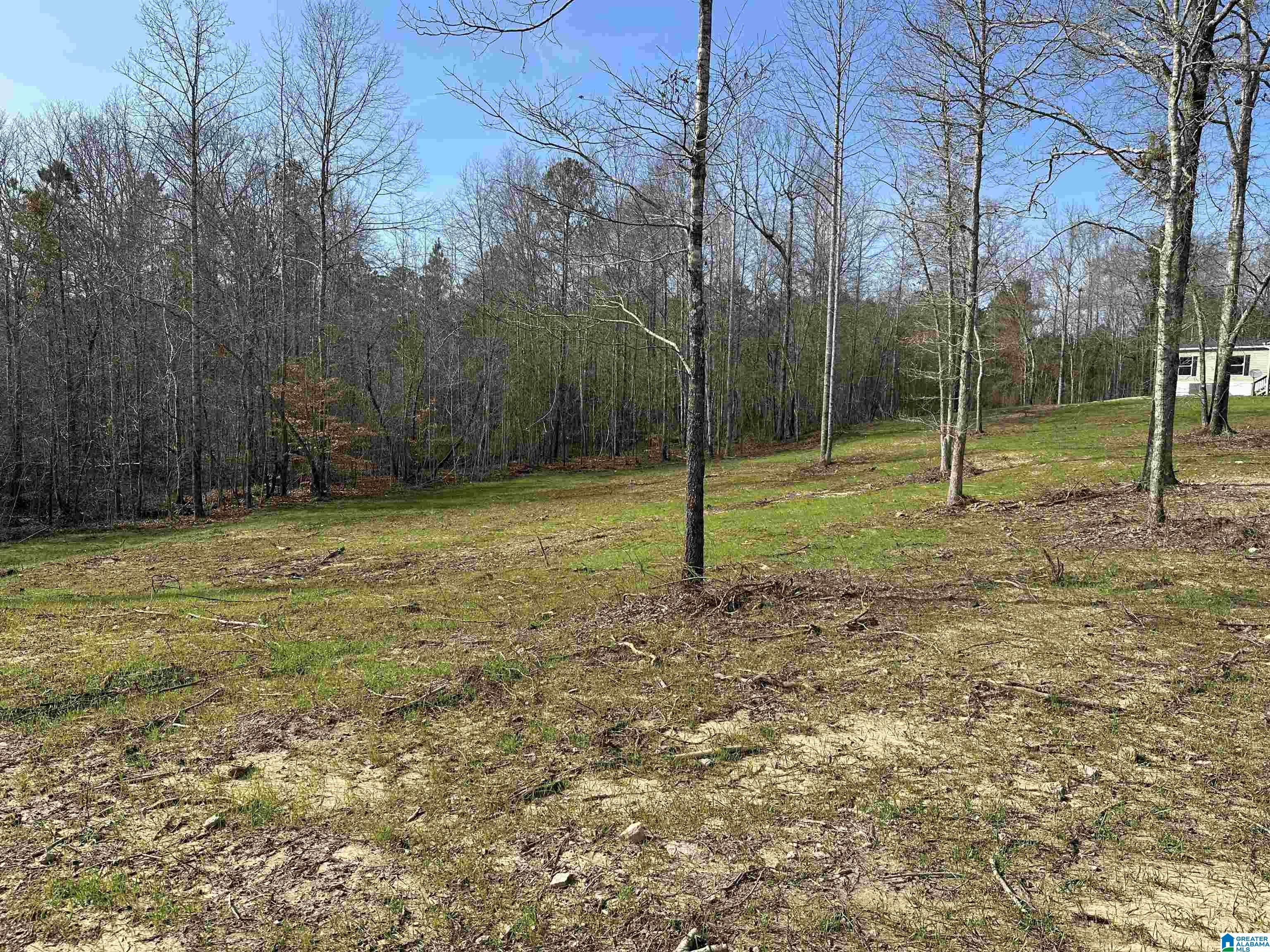 6640 County Road 79 Daviston, AL 36256 - Photo 12 of 20