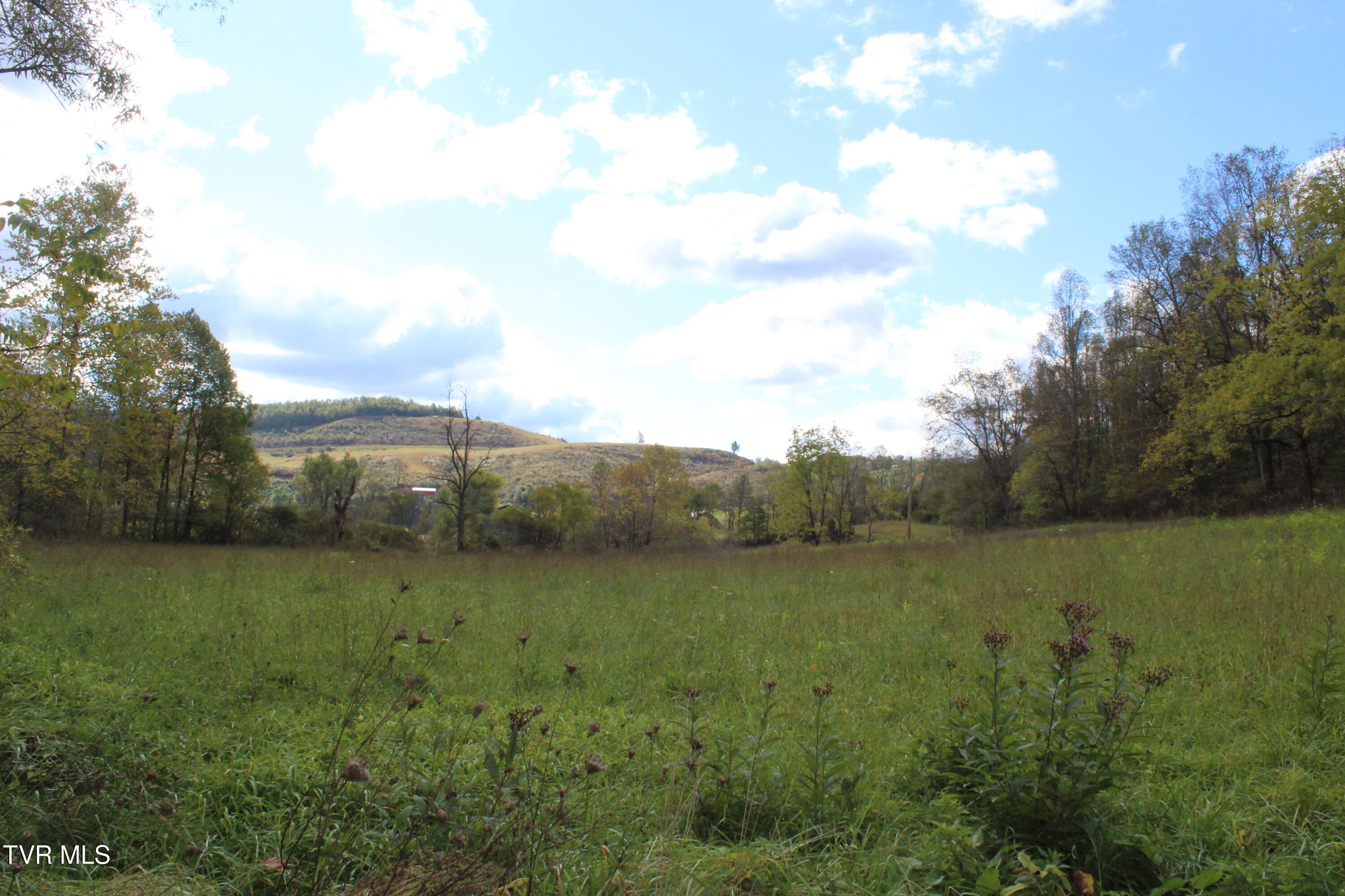 Tbd Middle Wallens Creek Road Duffield, VA 24244 - Photo 1 of 4 IMG_5413