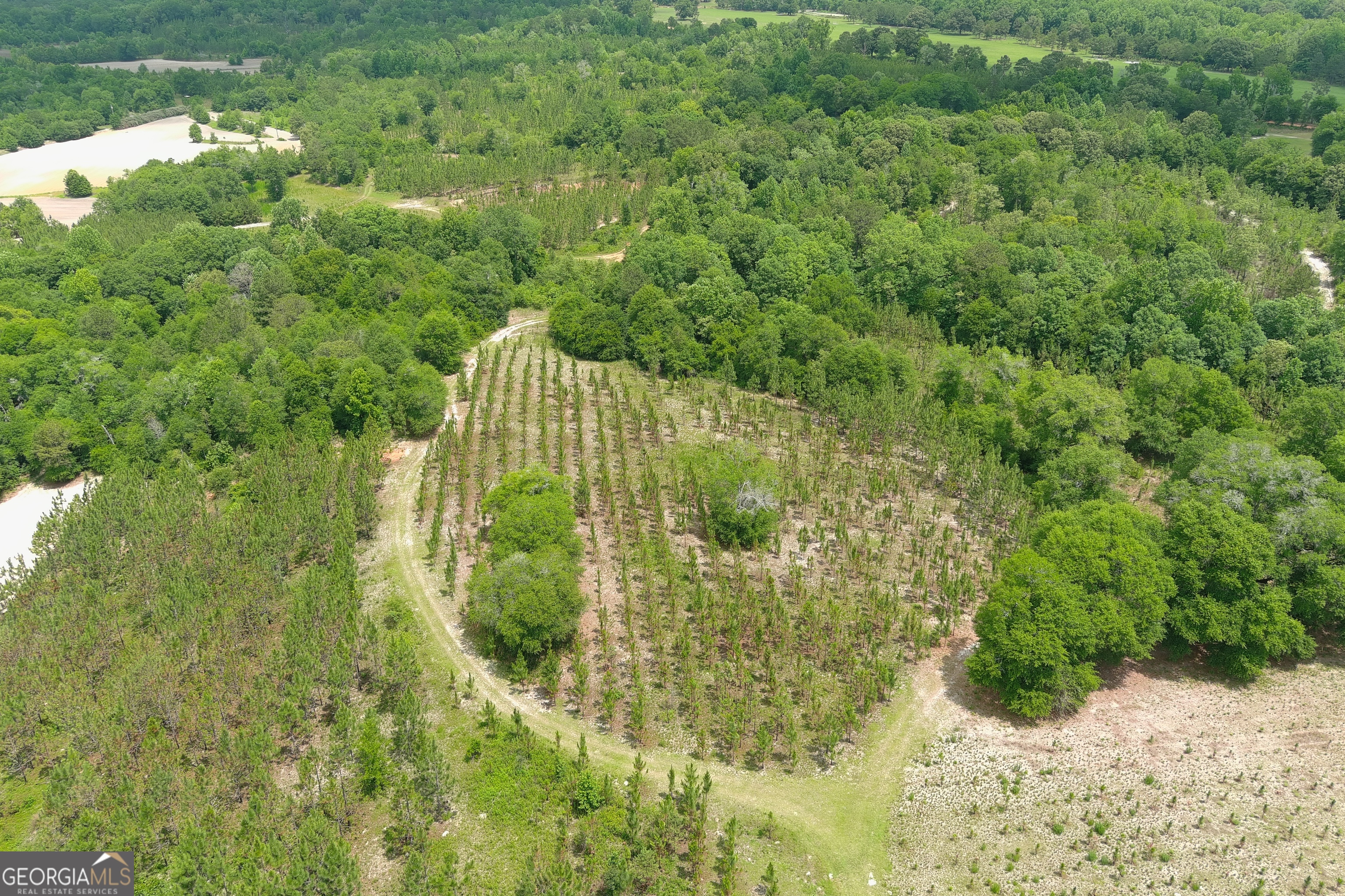 0 Rocky Mt Church Road Eufaula, AL 36027 - Photo 30 of 35