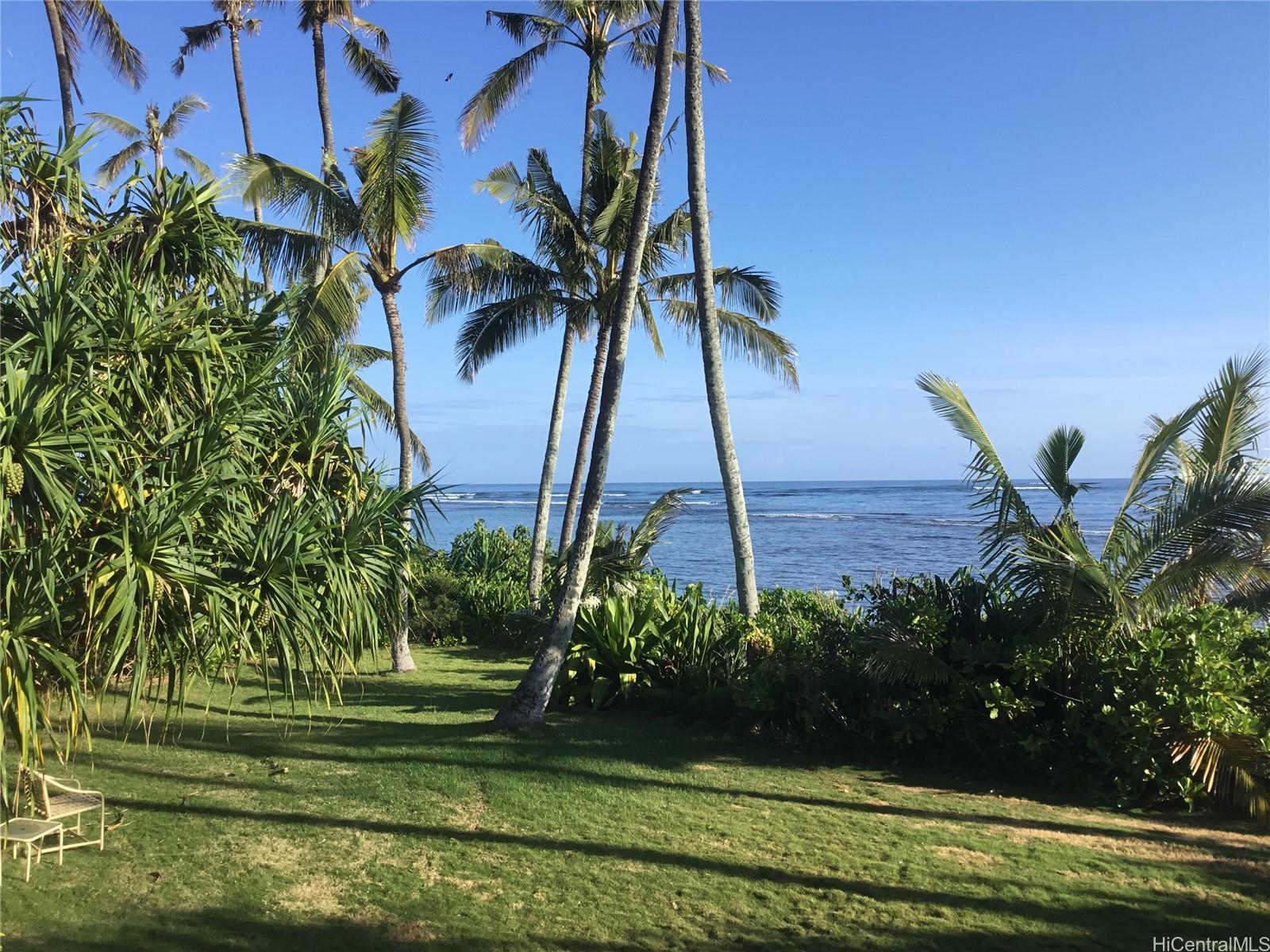 67-421 Waialua Beach Road Waialua, HI 96791 - Photo 2 of 25 a view of a palm trees next to a yard