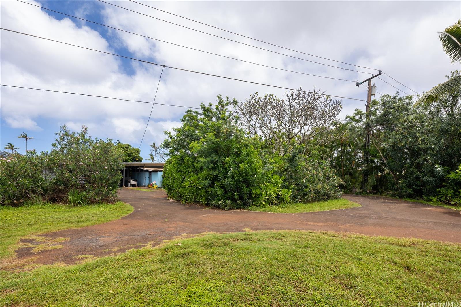 67-421 Waialua Beach Road Waialua, HI 96791 - Photo 21 of 25 a view of a yard with potted plants