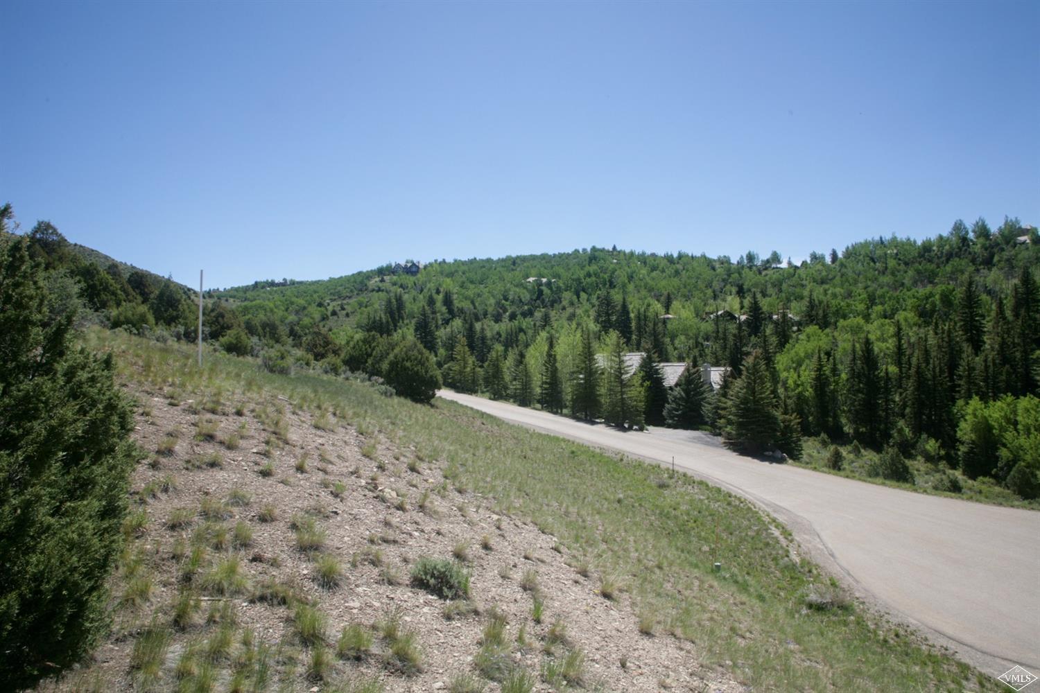 a view of a dry yard with trees in the background