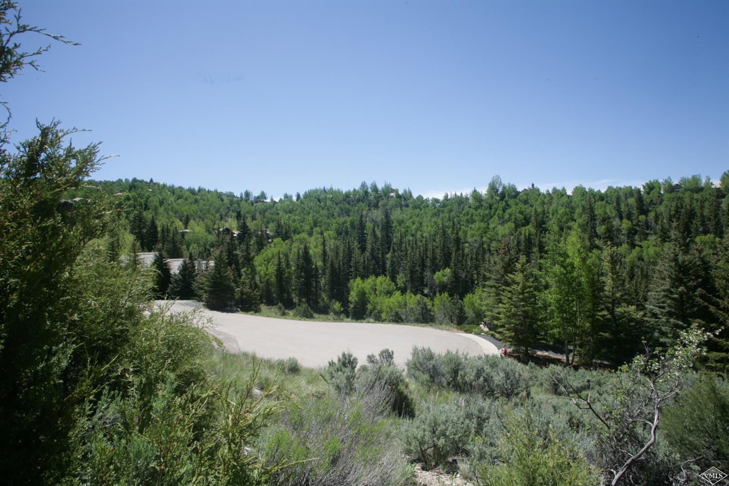 800 Andorra Road Edwards, CO 81632 - Photo 2 of 12 a view of a backyard of the house