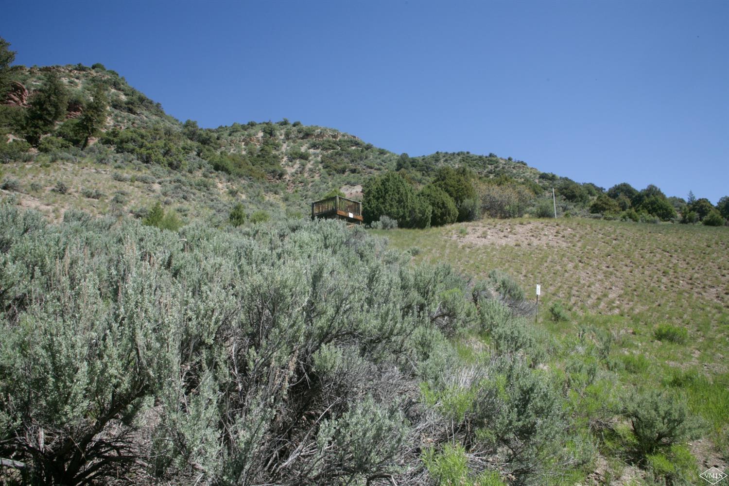 800 Andorra Road Edwards, CO 81632 - Photo 3 of 12 a view of a field with a mountain in the background