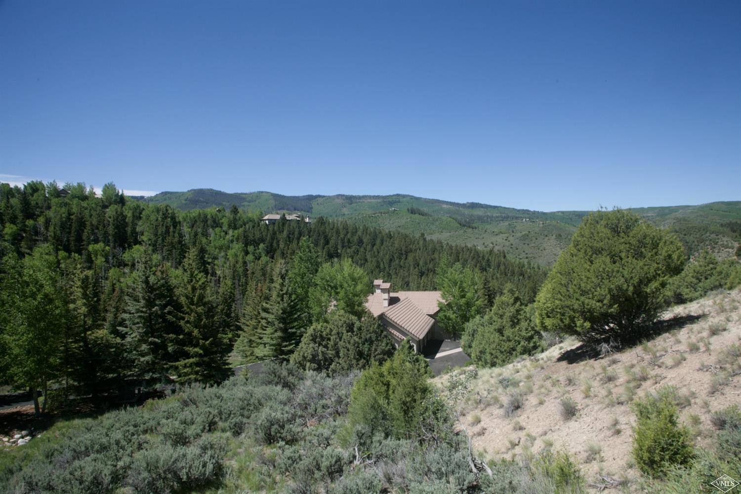 800 Andorra Road Edwards, CO 81632 - Photo 4 of 12 a view of a yard with a mountain