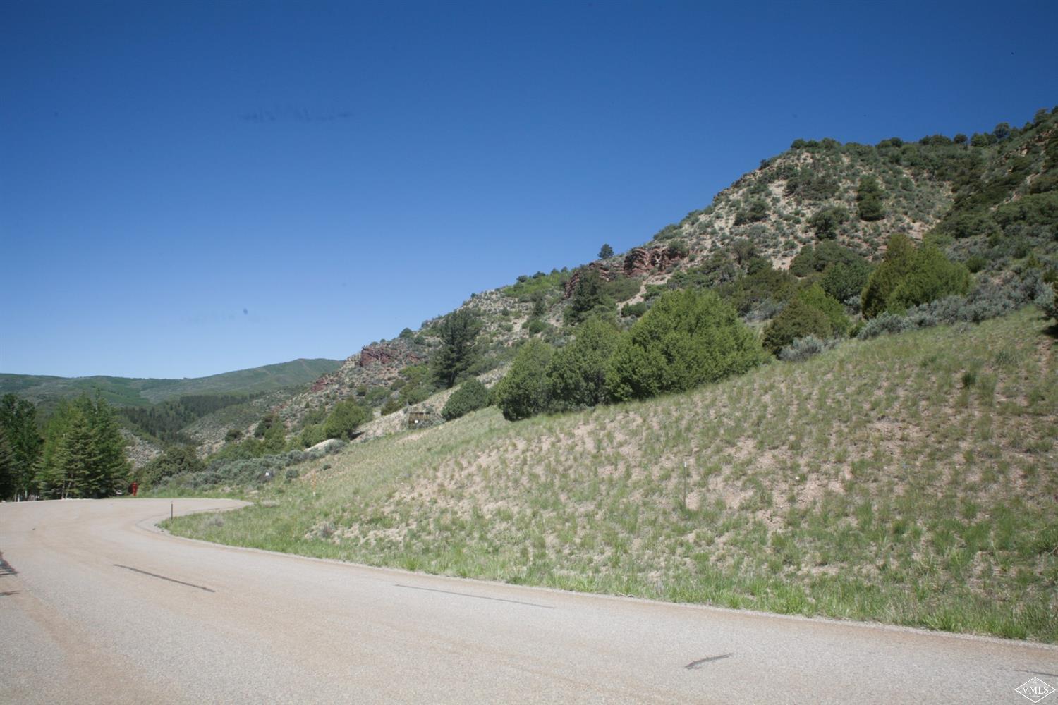 800 Andorra Road Edwards, CO 81632 - Photo 5 of 12 a view of a forest with a mountain in the background
