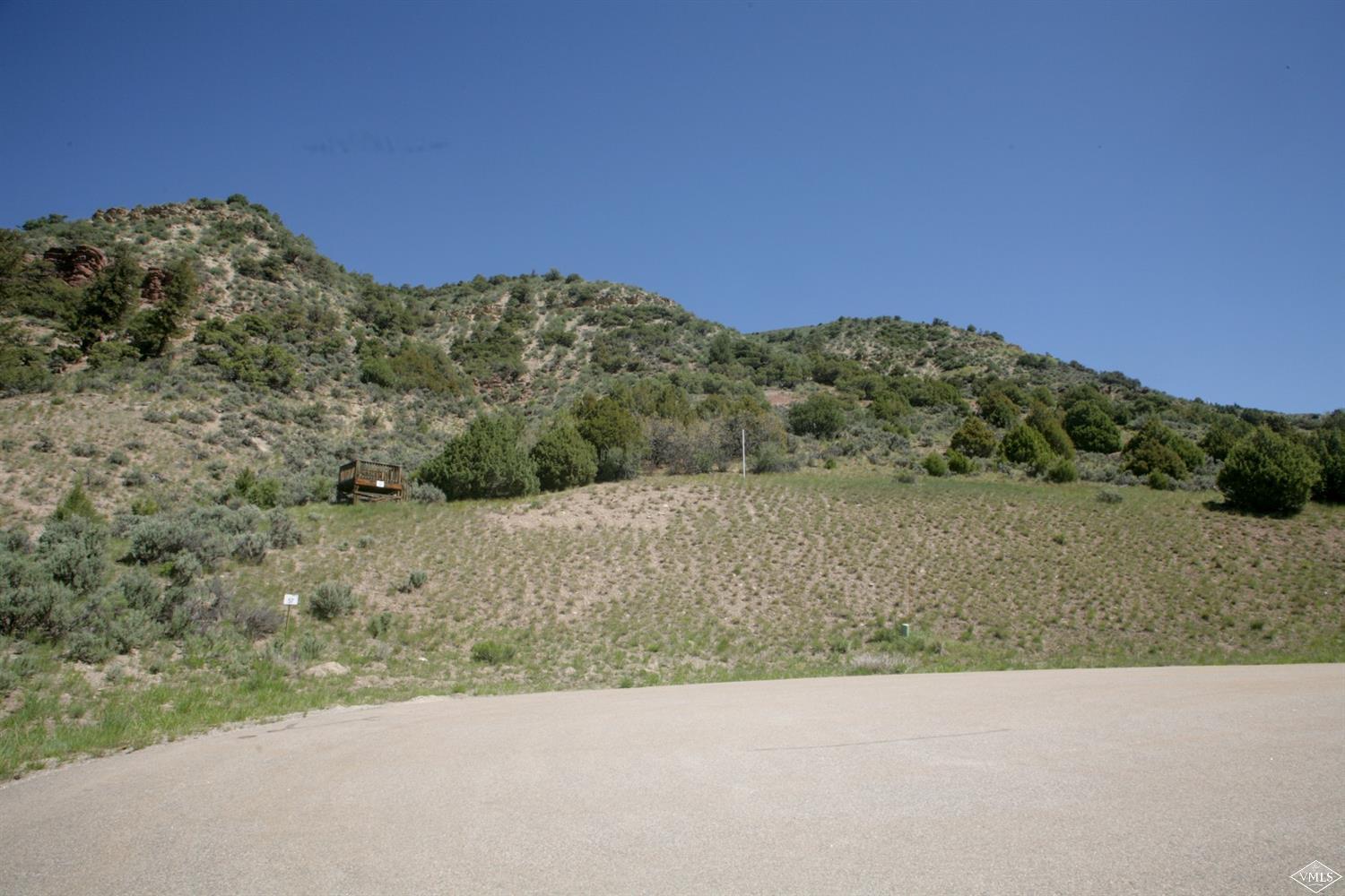 800 Andorra Road Edwards, CO 81632 - Photo 6 of 12 a view of a dry yard with a mountain in the background
