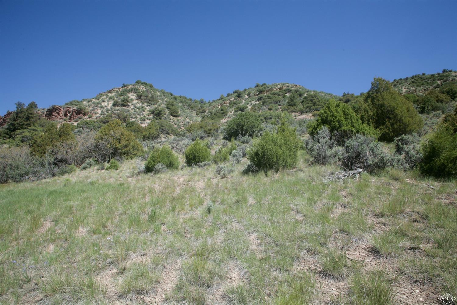 800 Andorra Road Edwards, CO 81632 - Photo 7 of 12 a view of a green field