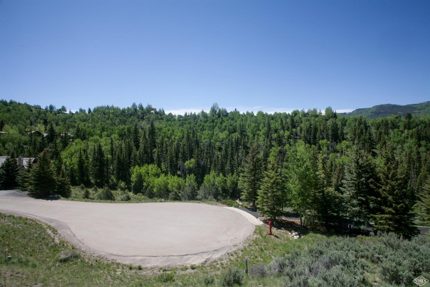 800 Andorra Road Edwards, CO 81632 - Photo 9 of 12 a view of a backyard