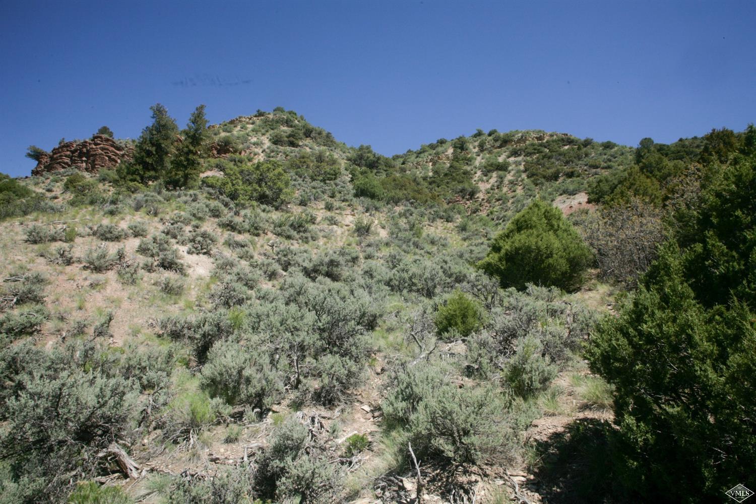 800 Andorra Road Edwards, CO 81632 - Photo 10 of 12