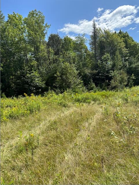 0 Nate Richards Road St. Albans, ME 04971 - Photo 2 of 6 New Picture (2)