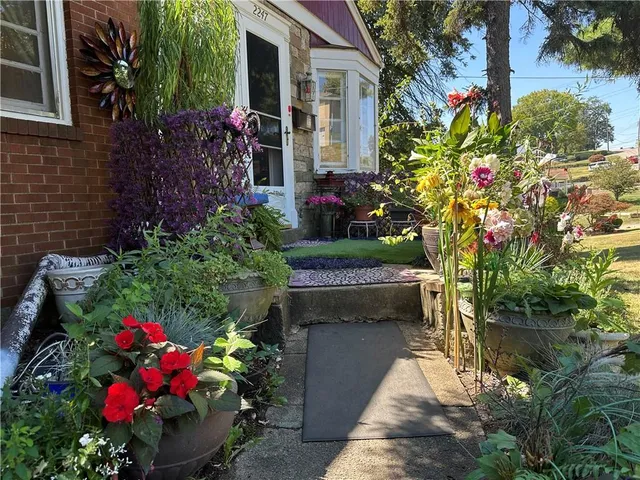 a house view with a garden space