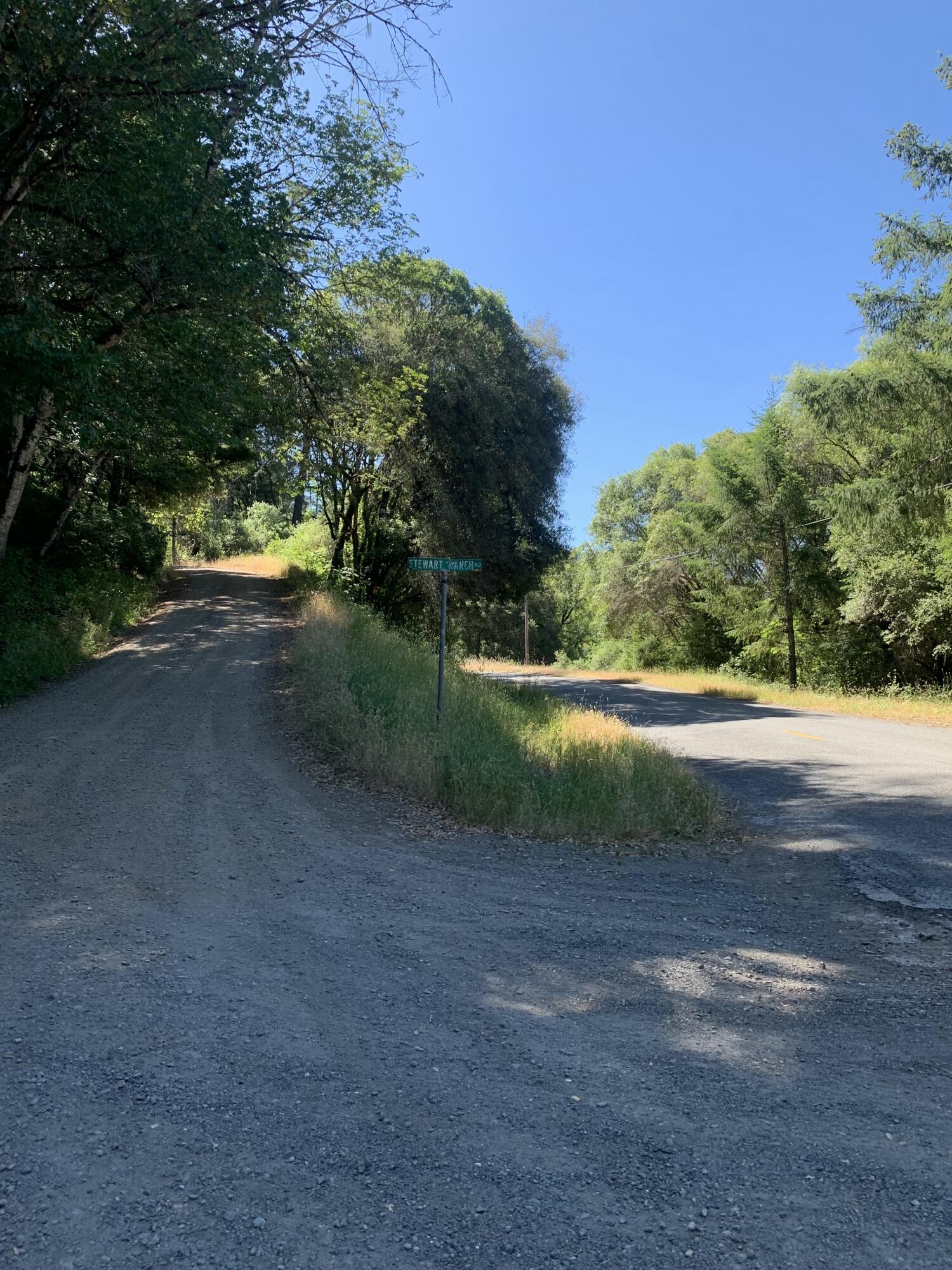 160-acres Alderpoint Road Alderpoint, CA 95511 - Photo 11 of 16