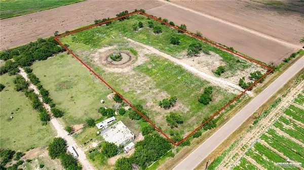 a view of a yard with plants