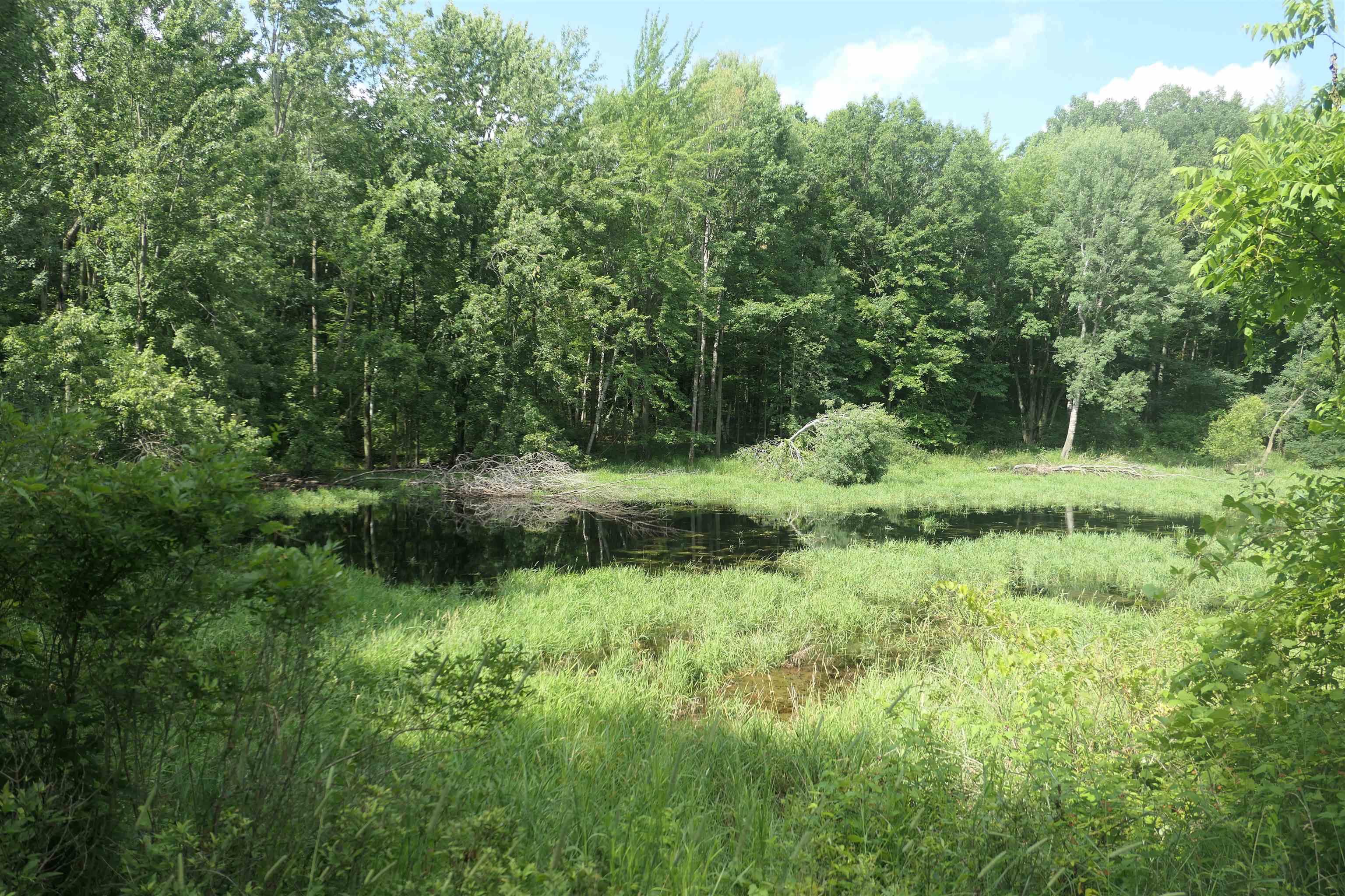 4769 Feather Trail Edmore, MI 48829 - Photo 53 of 53