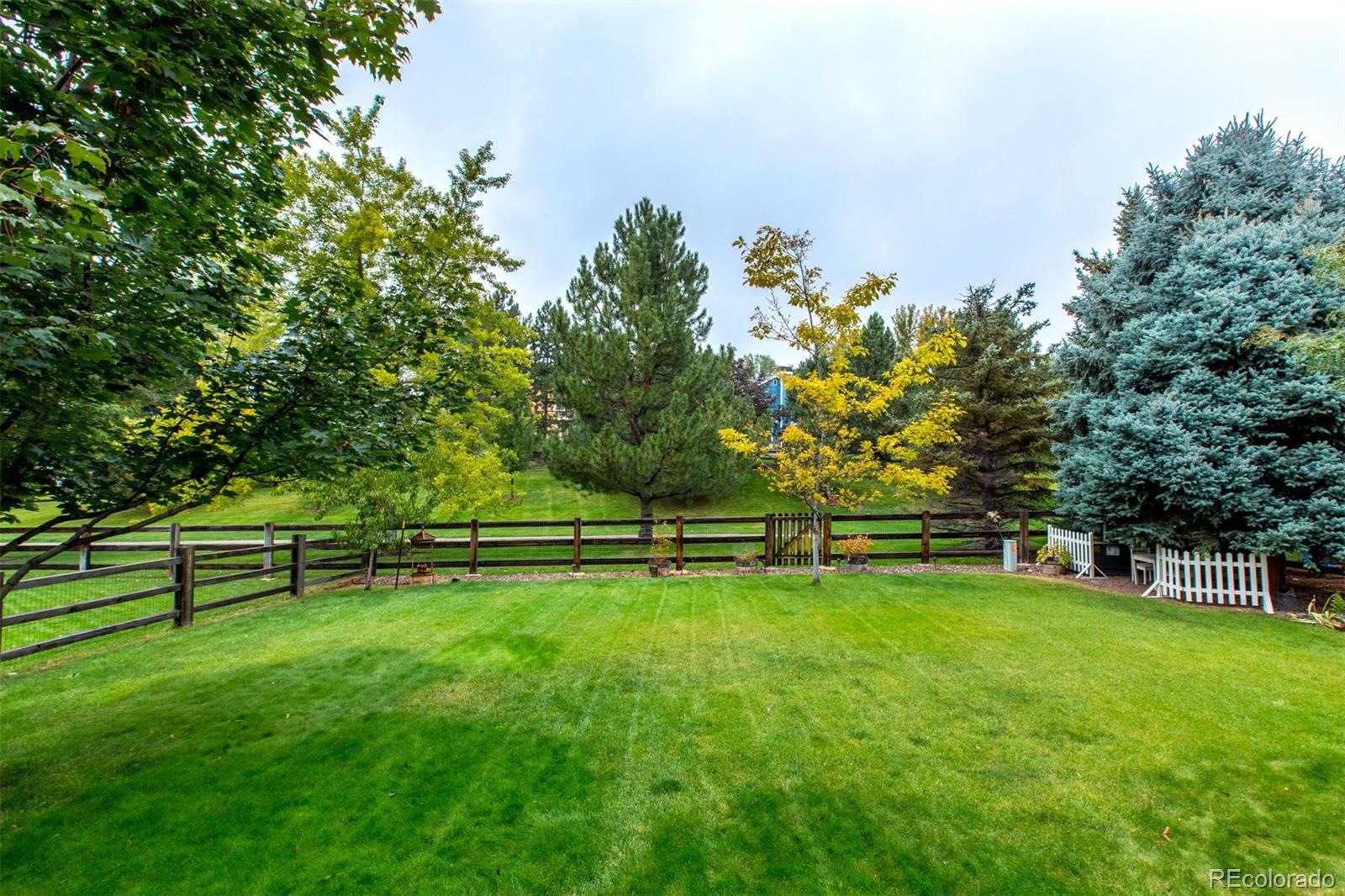 10037 Hooker Street Westminster, CO 80031 - Photo 30 of 40 a view of a park with large trees