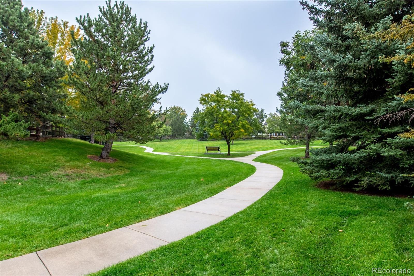 10037 Hooker Street Westminster, CO 80031 - Photo 31 of 40 a garden with trees in the background
