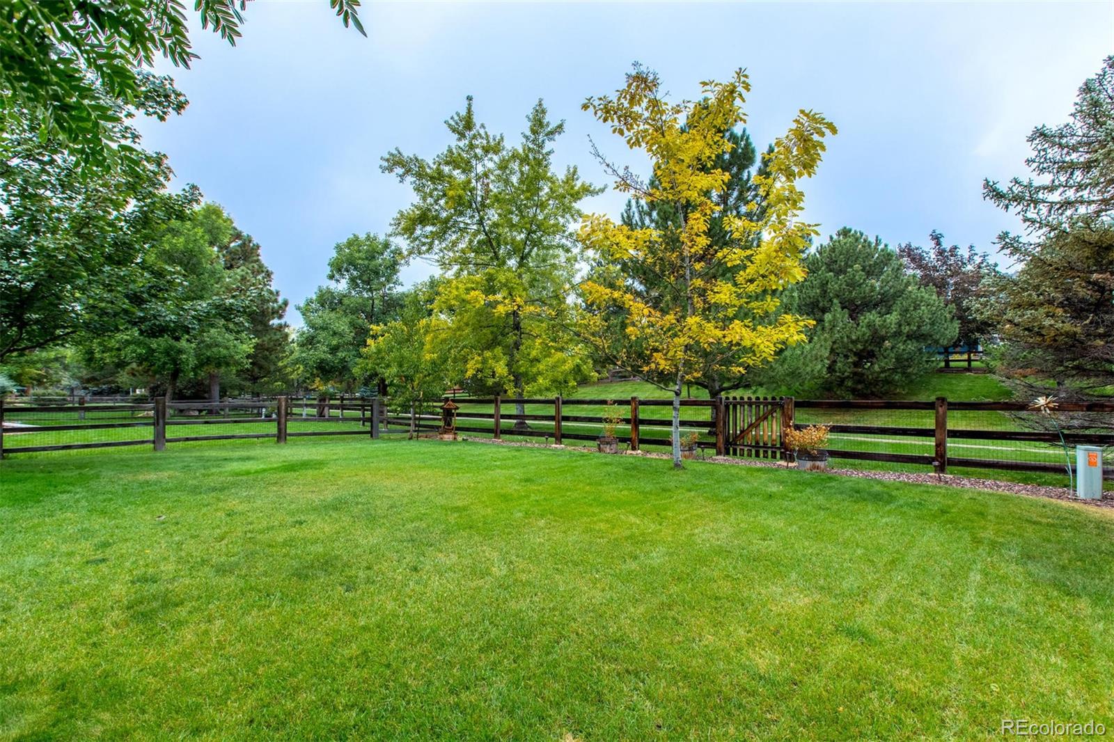 10037 Hooker Street Westminster, CO 80031 - Photo 32 of 40 a view of a park with large trees