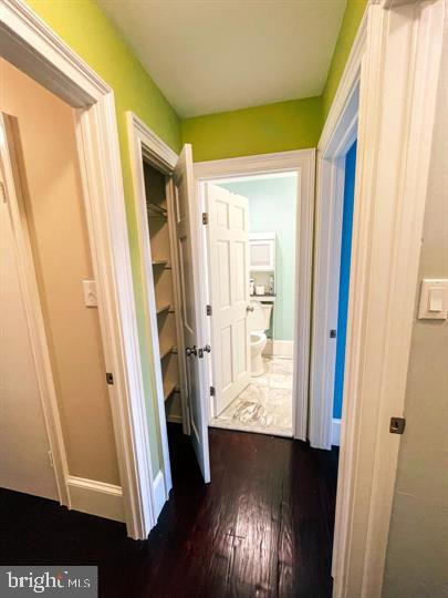2995 Windy Bush Road New Hope, PA 18938 - Photo 14 of 36 Bright hallway with vibrant accents.