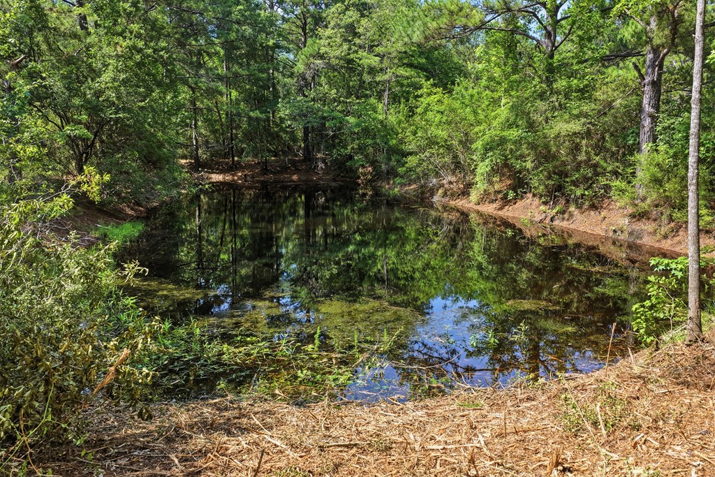Lot #3 Crosby Clark Road Opp, AL 36467 - Photo 8 of 15