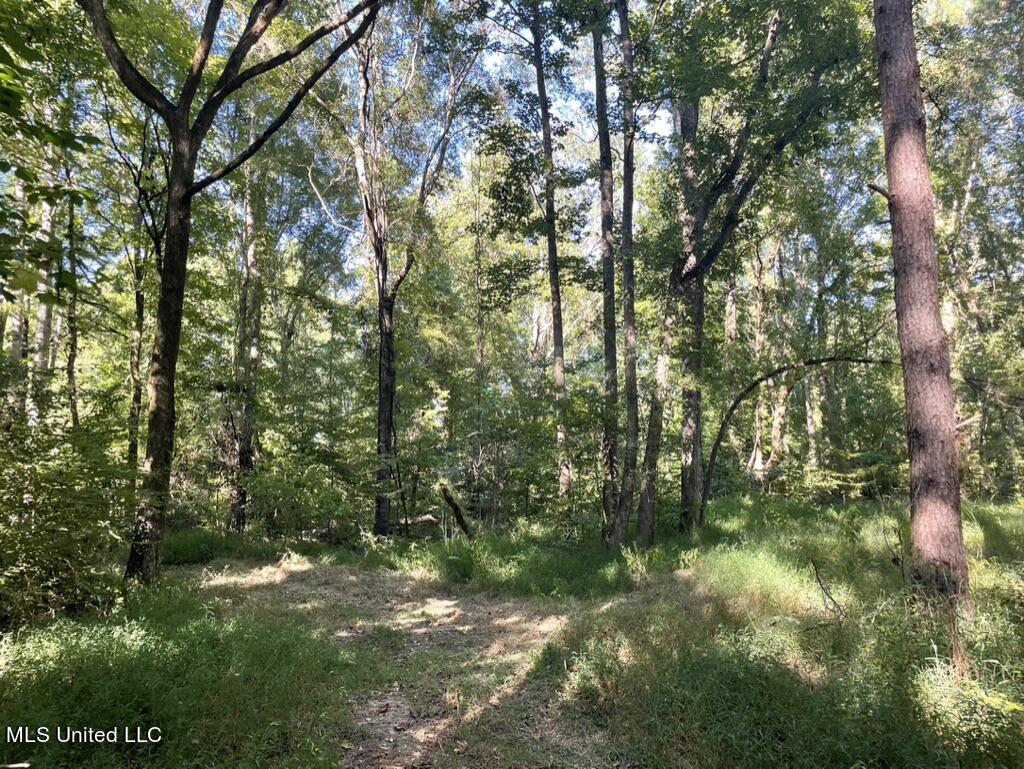 1953 Joe Hall Road Flora, MS 39071 - Photo 16 of 42 D6538978-8EC7-4FEA-8E1D-257B105FC23E_1_1