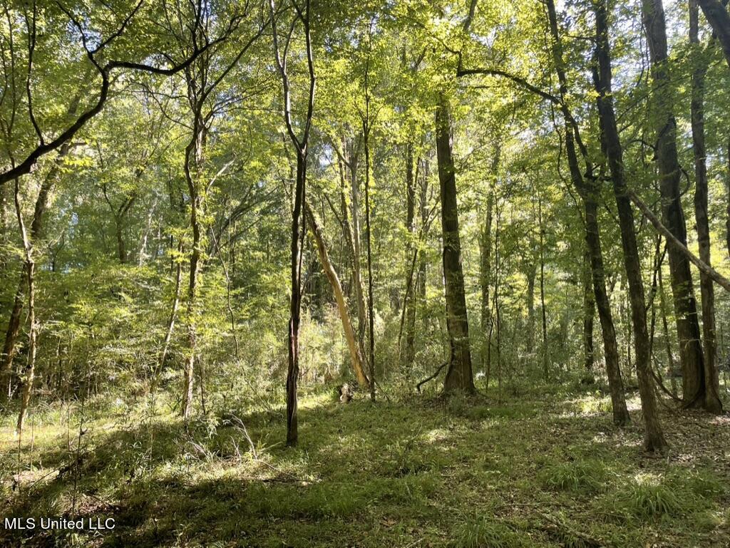 1953 Joe Hall Road Flora, MS 39071 - Photo 17 of 42 DCCBA10C-6755-47DE-8E28-10F91458C294_1_1