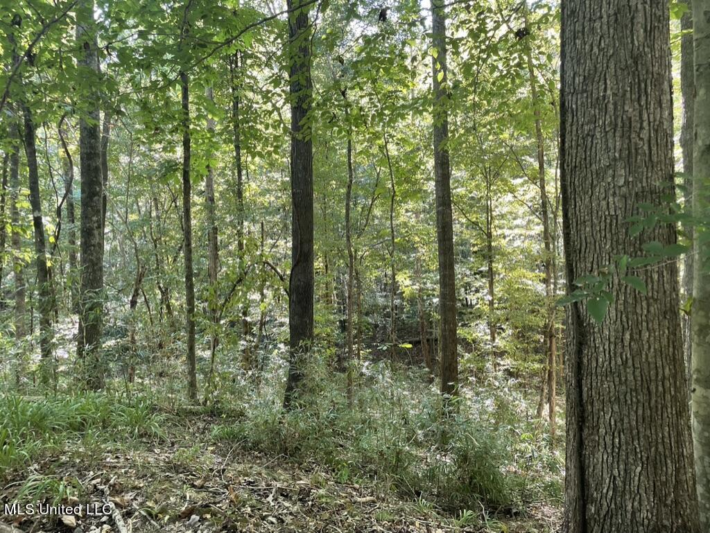 1953 Joe Hall Road Flora, MS 39071 - Photo 20 of 42 1D61E092-BD62-4832-B4A8-6E7241D7A966_1_1