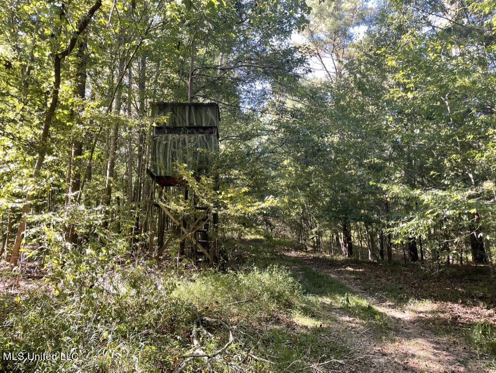 1953 Joe Hall Road Flora, MS 39071 - Photo 24 of 42 B7D18182-5833-4AA9-9434-2B95701EFEFE_1_1