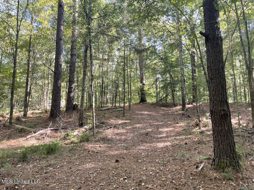 1953 Joe Hall Road Flora, MS 39071 - Photo 27 of 42 91036E2F-01A8-4892-953B-76A4C91593AE_1_1