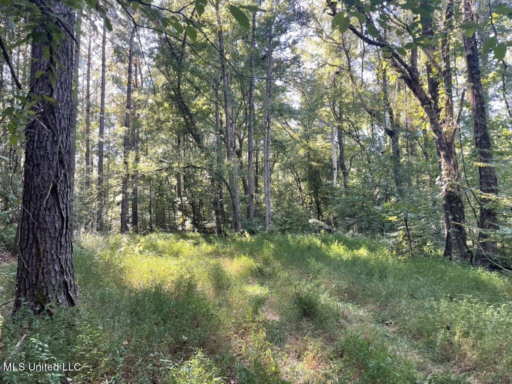 1953 Joe Hall Road Flora, MS 39071 - Photo 29 of 42 CEA75B02-29EE-430C-B39D-1E41845A5602_1_1