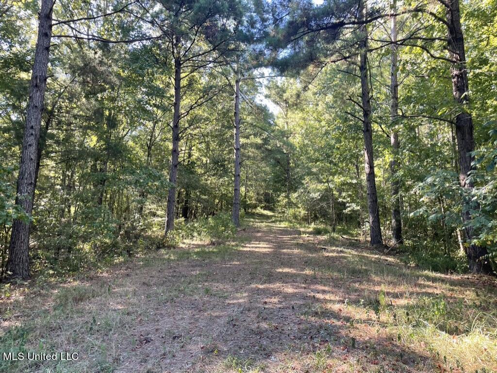 1953 Joe Hall Road Flora, MS 39071 - Photo 34 of 42 EDECD96F-95CE-48F8-9B6C-A7E96FF5495C_1_1