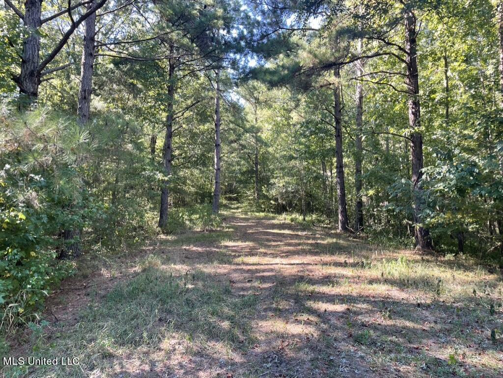 1953 Joe Hall Road Flora, MS 39071 - Photo 39 of 42 5F442237-BC1C-49EA-ACA1-C57CB82C2CD0_1_1
