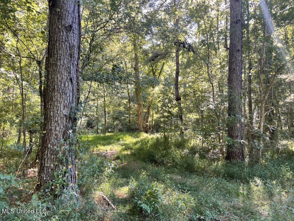 1953 Joe Hall Road Flora, MS 39071 - Photo 40 of 42 A8F33A0D-D3E0-4D63-8F98-DA171E26D601_1_1