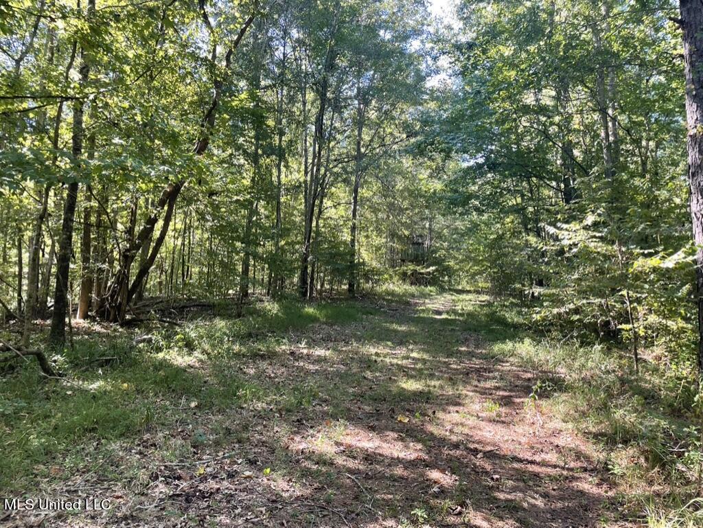 1953 Joe Hall Road Flora, MS 39071 - Photo 41 of 42 7B742077-8D4E-4460-B473-D8482F17B993_1_1