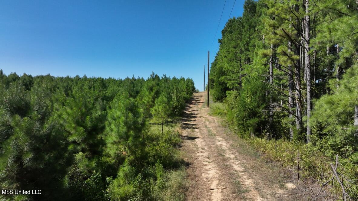 1953 Joe Hall Road Flora, MS 39071 - Photo 8 of 42 02E7CB35-BADE-4B0C-8993-8041FC430D62_1_1