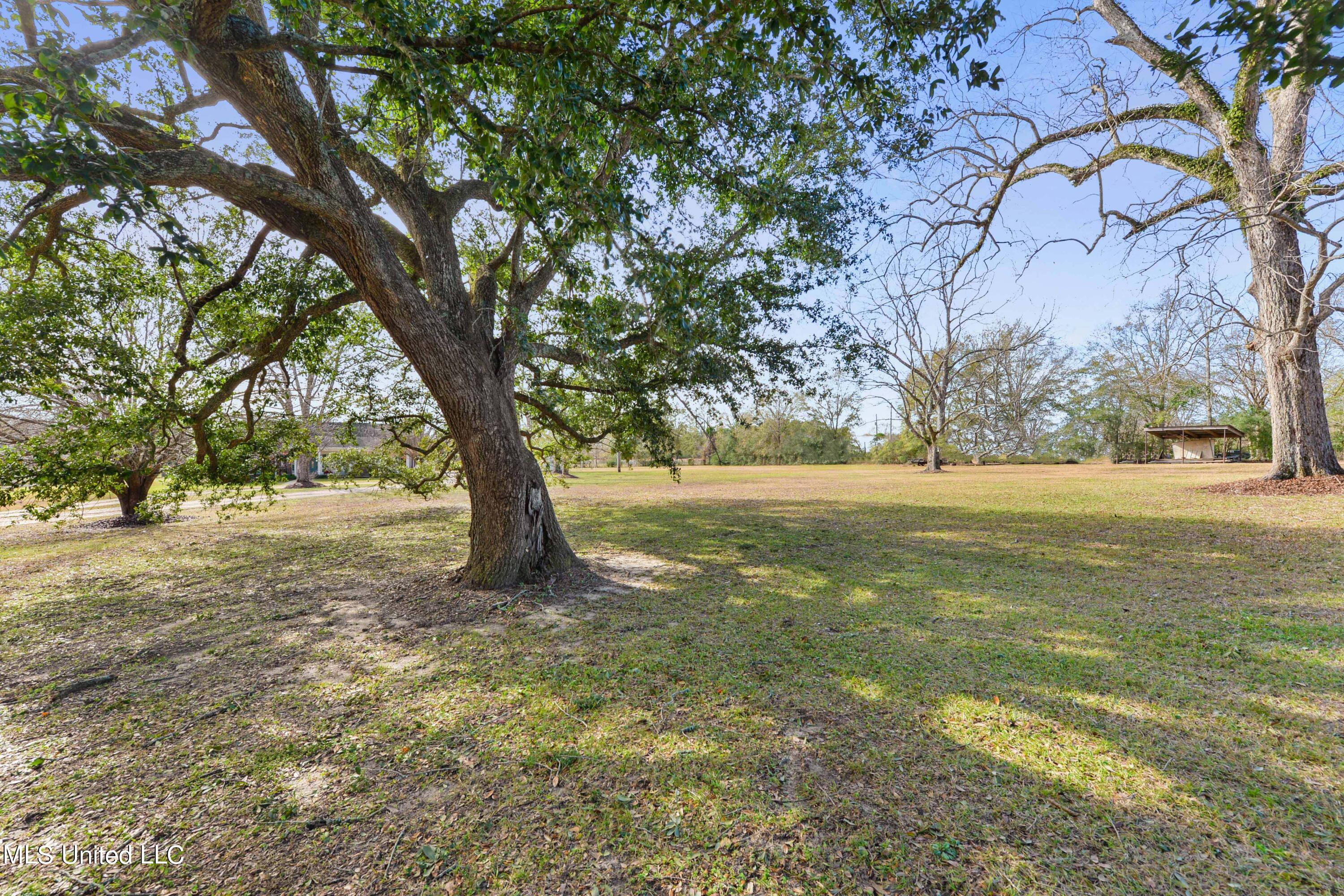 486 Restertown Road Poplarville, MS 39470 - Photo 38 of 47 038