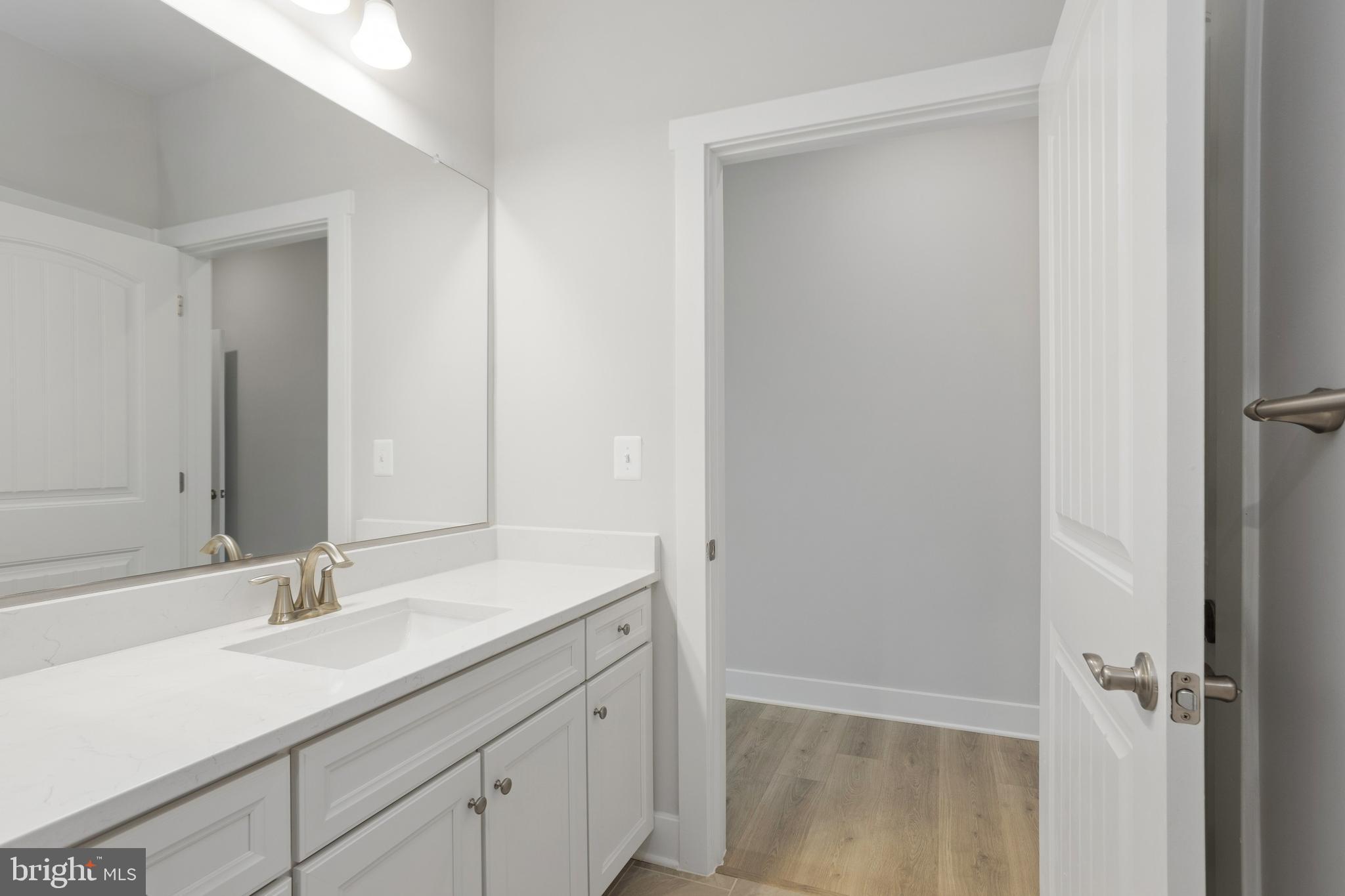 630 Warbler Way, Unit 2212 Chester, MD 21619 - Photo 31 of 73 a bathroom with a sink and a mirror
