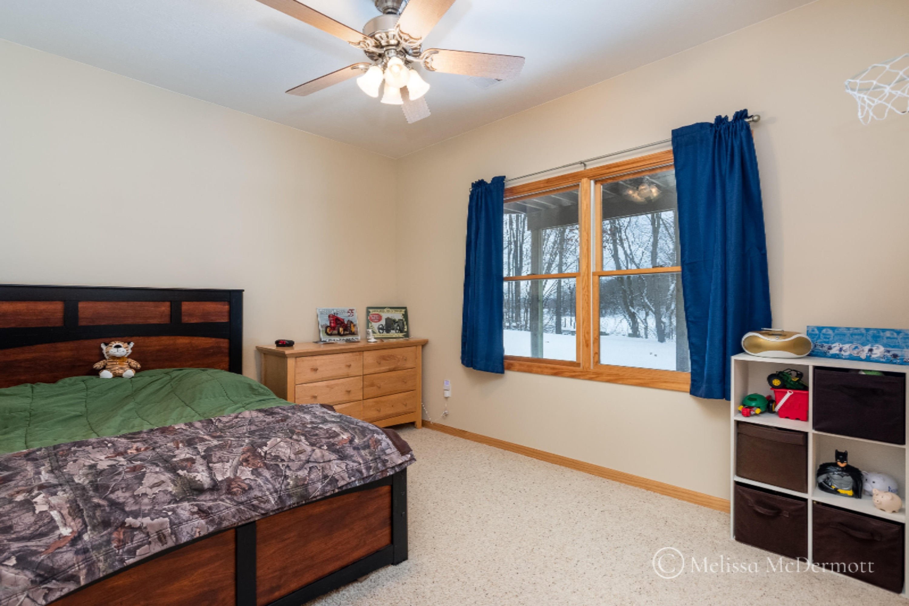4842 Upton Road Hastings, MI 49058 - Photo 33 of 43 4842 Upton-37