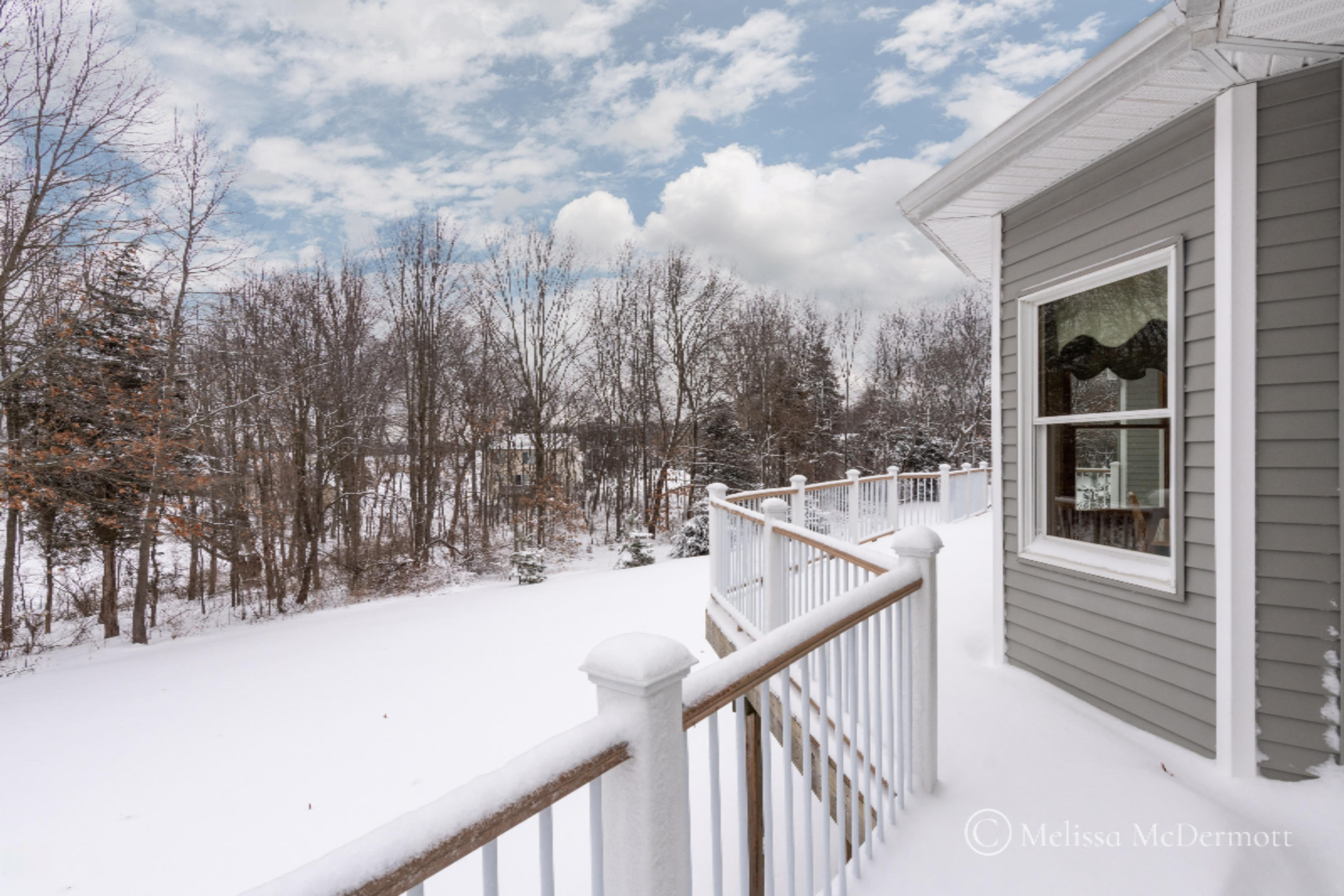 4842 Upton Road Hastings, MI 49058 - Photo 41 of 43 4842 Upton-47