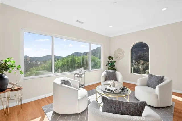 a living room with furniture and a potted plant