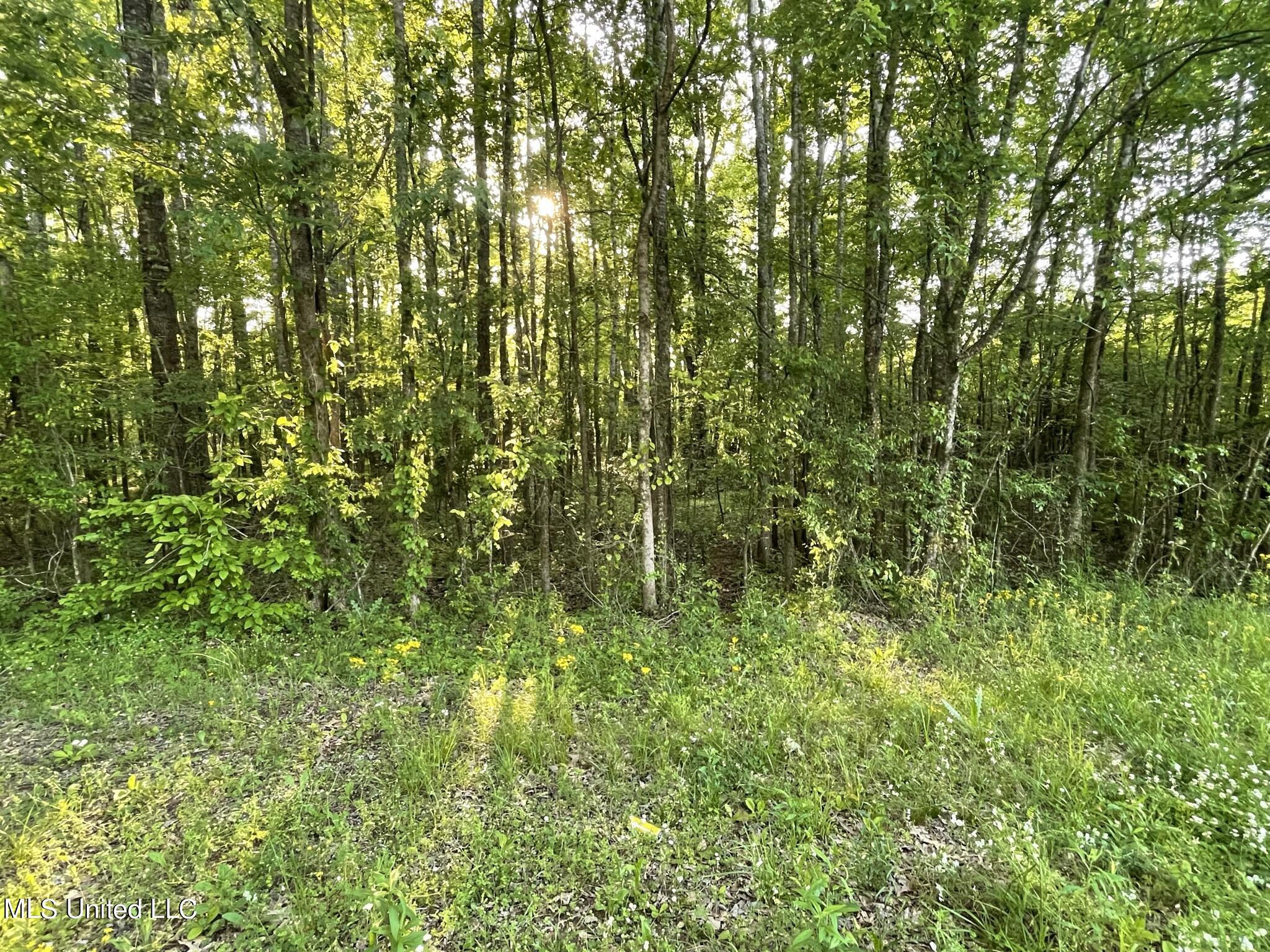 1345 Robinson Road Canton, MS 39046 - Photo 1 of 11 IMG_7474