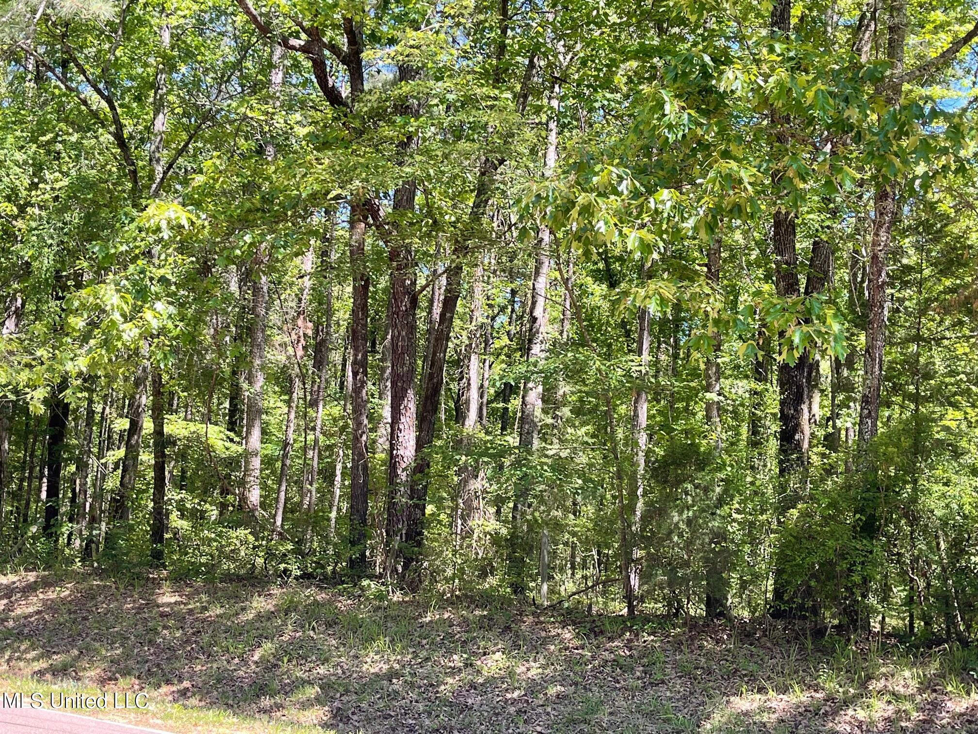 1345 Robinson Road Canton, MS 39046 - Photo 2 of 11 1
