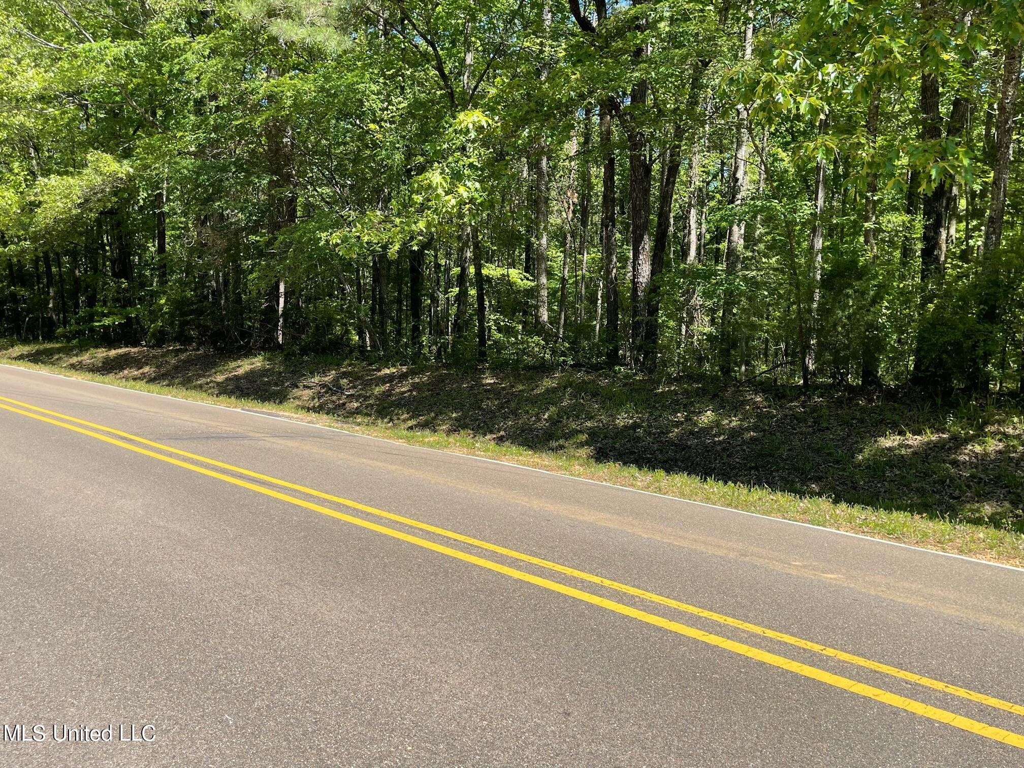 1345 Robinson Road Canton, MS 39046 - Photo 4 of 11 2