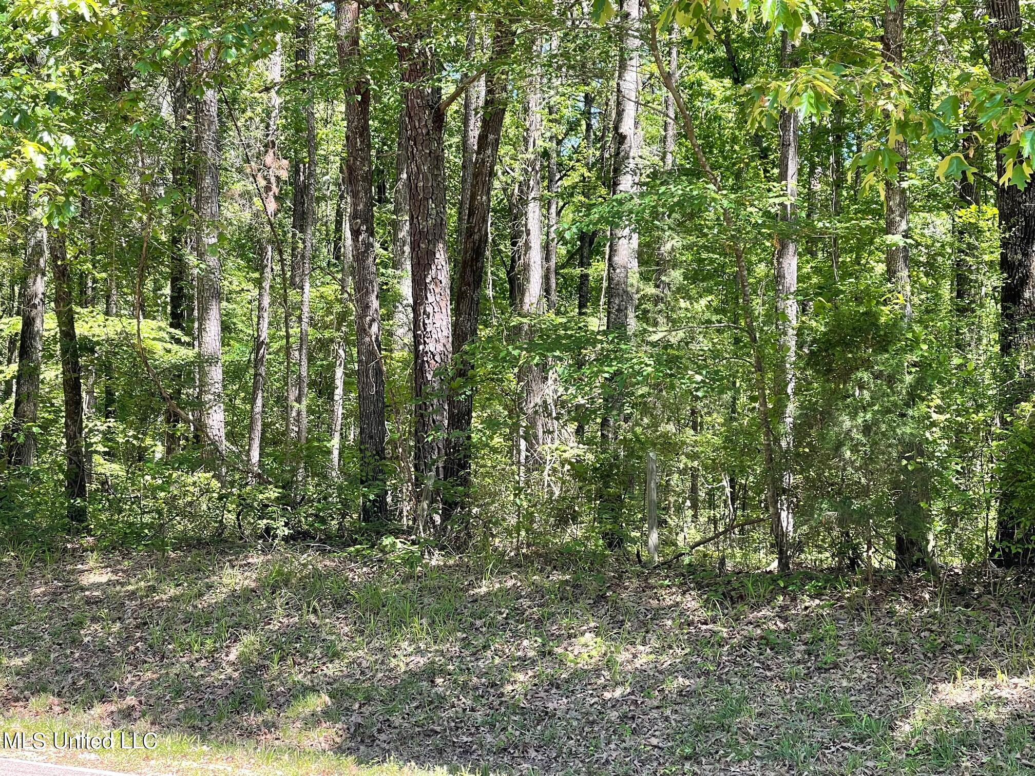 1345 Robinson Road Canton, MS 39046 - Photo 5 of 11 4