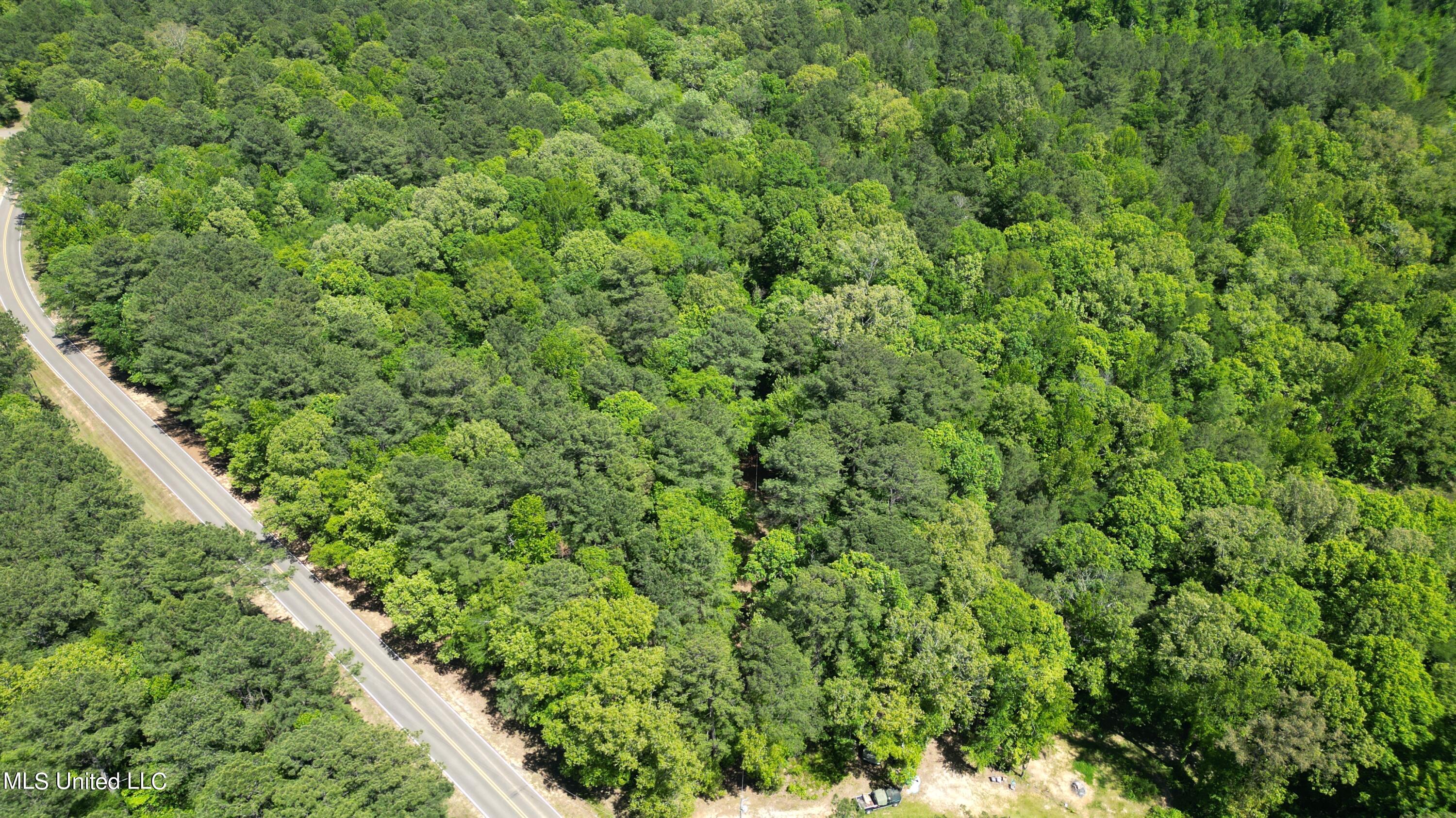 1345 Robinson Road Canton, MS 39046 - Photo 6 of 11 DJI_0559