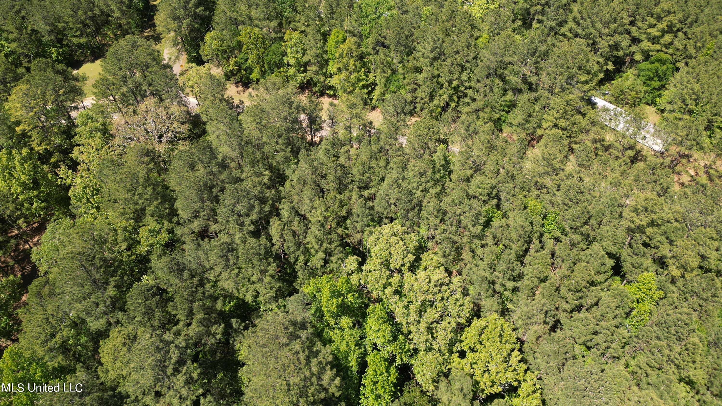 1345 Robinson Road Canton, MS 39046 - Photo 8 of 11 DJI_0566