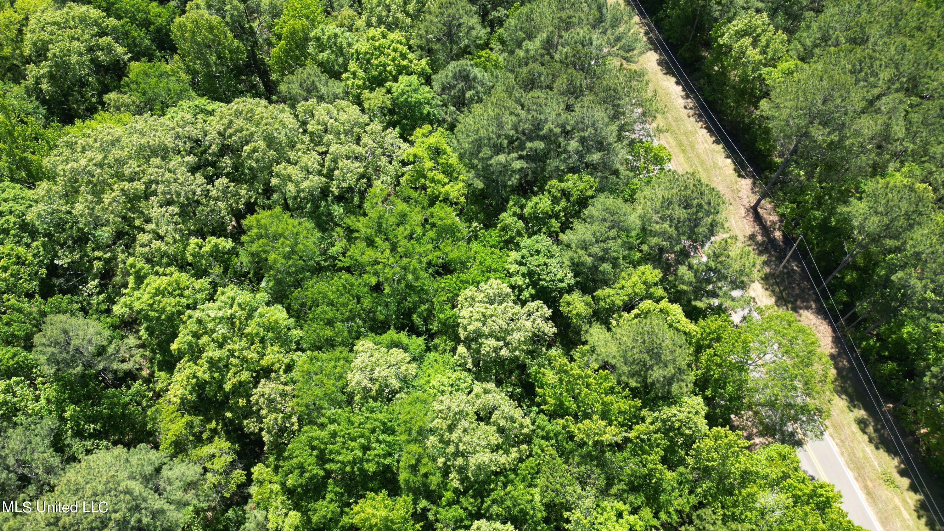 1345 Robinson Road Canton, MS 39046 - Photo 9 of 11 DJI_0567