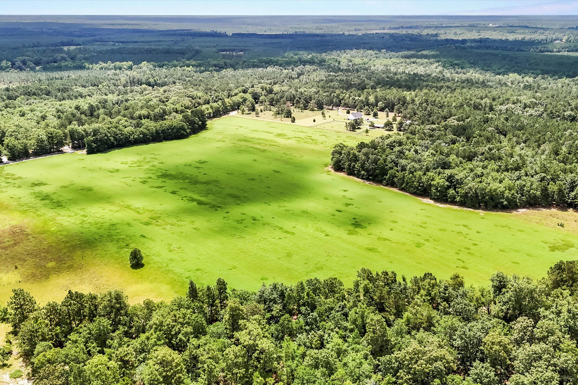 Lot 2 Mt Beulah Road Windsor, SC 29856 - Photo 9 of 15