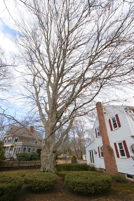26 Morrison Road Wakefield, MA 01880 - Photo 25 of 30 Gallery Image 25