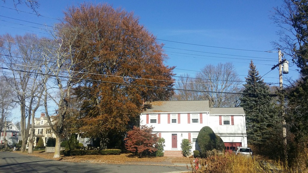 26 Morrison Road Wakefield, MA 01880 - Photo 27 of 30 Gallery Image 27